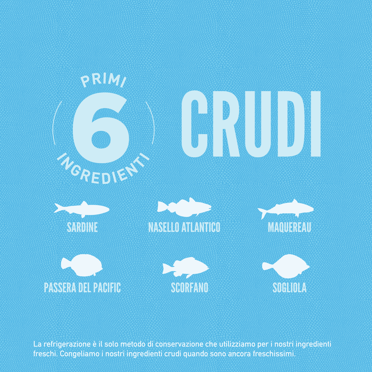 null - Product thumbnail 4.0